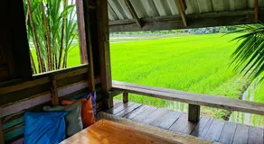 Huean Himbo - Image 5