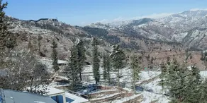 Madhav Palace Homestay Fagu - Image 2