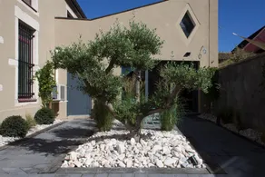 Appart Hotel Eugenie - Image 4