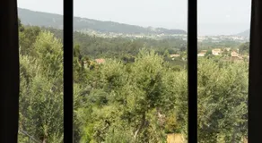 Quinta do Socalco - Image 4