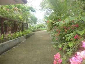 Haruhay Dream Resort and Restaurant - Image 2
