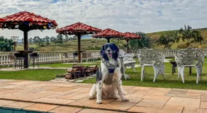 Pousada Sons do Silêncio - Image 4