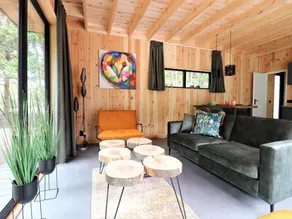 Attractive holiday home in Dalerveen with garden - Image 2