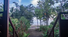 The Pelican House Hostel - Image 5