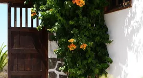 Urlaub 'La Paredita Casa Abona' mit Gemeinschaftsgarten und Wi-Fi - Image 5