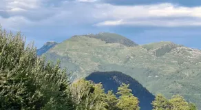 Alpine Studio near Bad Ischl - Image 3