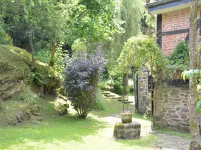 Cottage nel cuore dei boschi delle Ardenne - Image 5