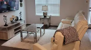 Ts3 Houston - Image 2