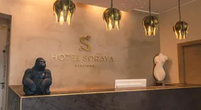 Hotel Soraya - Spiaggia Sawasdee with Beach, Restaurant & Parking - Image 3