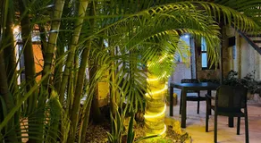 Hotel B&B - Playa del carmen - Image 3