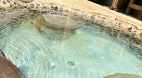 Green view glamping cabin with unlimited Jacuzzi - Image 2