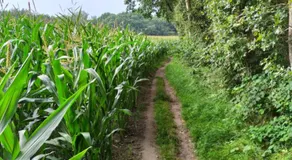 Oeroeboeroe - Image 5