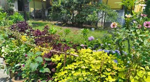 Anjali Home Stay - 10 mins from airport - Image 3