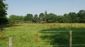 Le Cèdre Bleu - Image 4