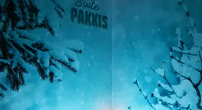 Suite PAKKIS Balnéo & Ciel Étoilé Boréal - Image 5