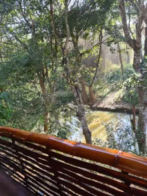 Deep Jungle Home - Image 4