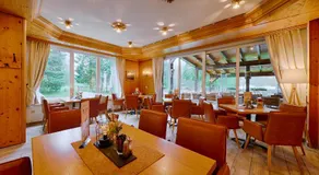 Hotel und Berggasthof Tanzbuche - Image 3