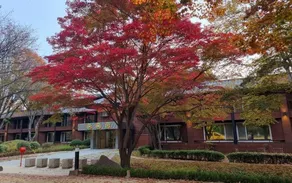 Nami Island Hotel Jeonggwanru - Image 5