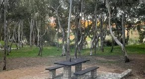 Archi - Image 4