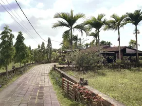 Uma Mandi Ubud Hotel - Image 2
