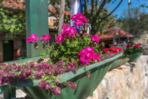 Holiday house Role Starigrad-Paklenica, Zadar riviera - Image 3
