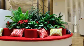 JR Hotels Gigli Firenze - Image 3