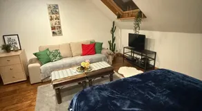 Antwerpen duplex apartment - Image 2