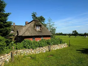 Doppelhaushälfte Posthus, Behrendorf - Image 4