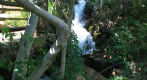 El Molino de Iramala - Image 3