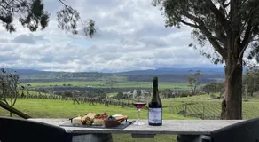 Bundaleera Vineyard and Farm Stay - Image 5