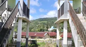 Irene - Image 4