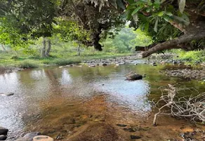 Vattakunny Wild Orchid Resort - Image 3