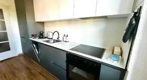 Modern Lakeview Apartment - Image 3