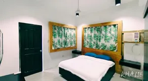 PNS BORACAY Station 1 - Image 5