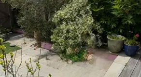 Home from Home - Image 4