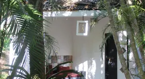Mint Inside Garden - Image 3