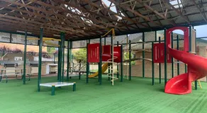 Waratah - Image 3