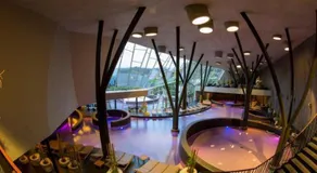Terme Olimia - Aparthotel Rosa - Image 3