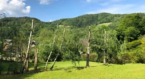 Chalet de Fréland - Image 4