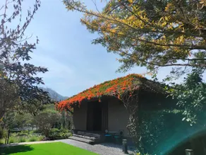 Private Villa by Doctor Coffee - Image 5