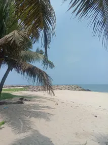 Beachdaze Homestay - Image 3
