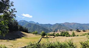 La Huertona - Image 4
