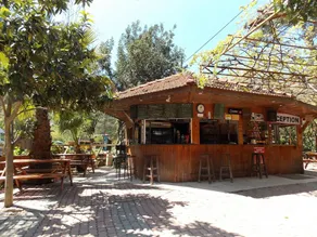 Olympos Orange - Image 4