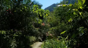 Bicho do Mato Suites - Image 5