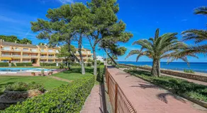 LITORAL COSTA DORADA - GUARDAMAR Only families - Image 4