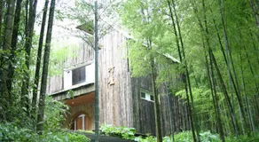 Shante Hotel Shitou - Image 5