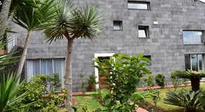Caloura Camellia House - Image 5