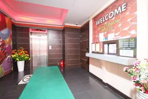 Daegu Dongseong-ro Honeymoon - Image 2