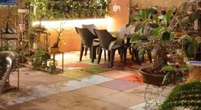 Bonsaiyog - Image 3