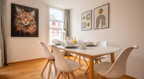 Modern Apartment in Central Basel near Rhine - Special TOP LUX 22 Apartment, up to 3 guests - Image 3